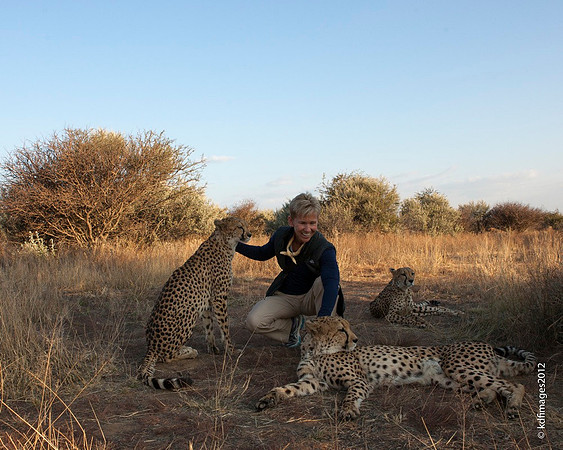 Ipad-K-7356