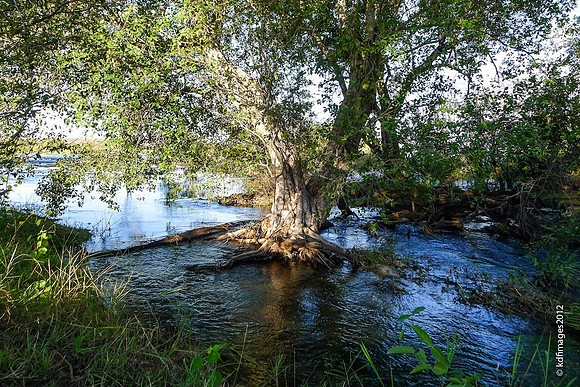 Ipad-L-1030753