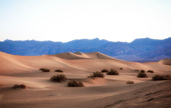 Mesquite Dunes