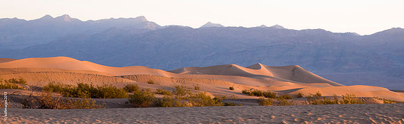Mesquite Dunes-_KDF0198-Edit