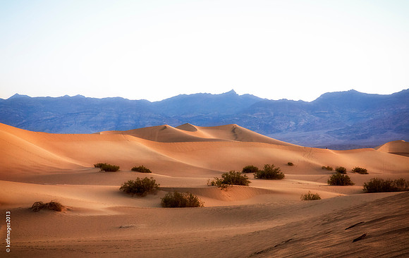Mesquite Dunes-_KDF0184-Edit