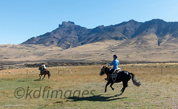 _DSC0662-KF