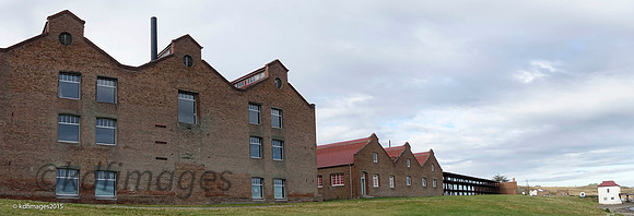 _DSC0726