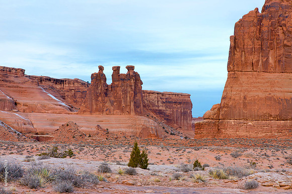 Arches-