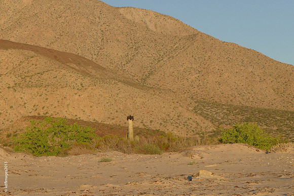 Baja swm-P1050113
