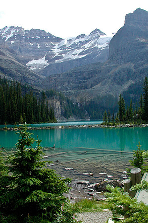 Lake O'Hara - Canadian Rockies -0281